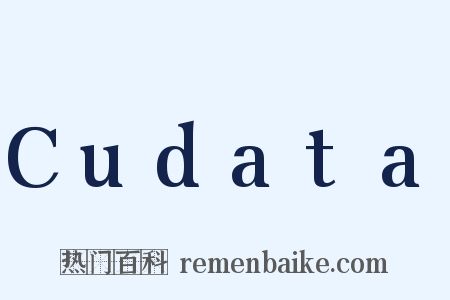 Cudata是什么意思的图片